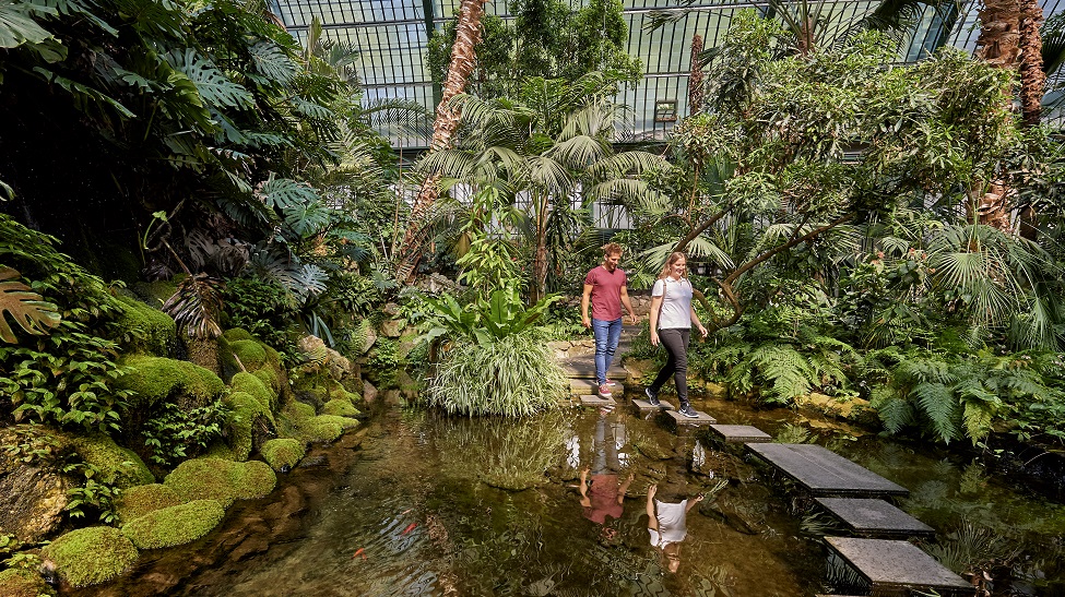 Der Palmengarten inmitten von Frankfurt ist eine Oase, um Aufzutanken. (Foto: ©Hessen Agentur, Florian Trykowski)